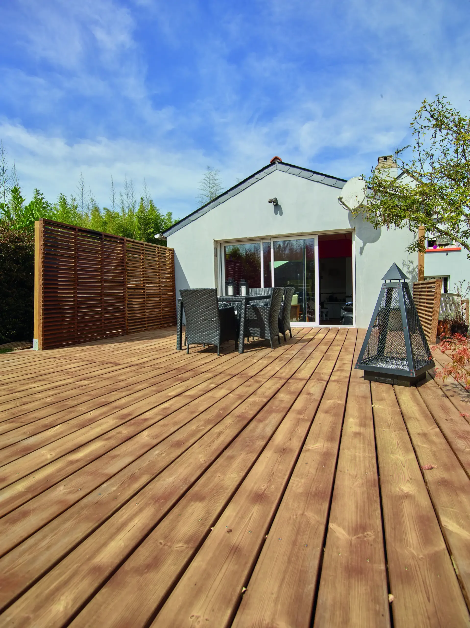 terrasse borneo M4 28 x 165 mm_HD_005 copie_compressed