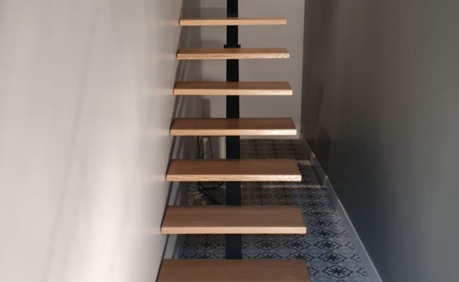 escalier bois avec limon central 1